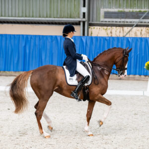 CDI Wroclaw 2023 - autumn