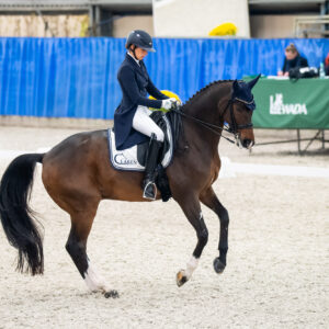 CDI Wroclaw 2023 - autumn