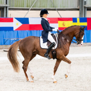 CDI Wroclaw 2023 - autumn