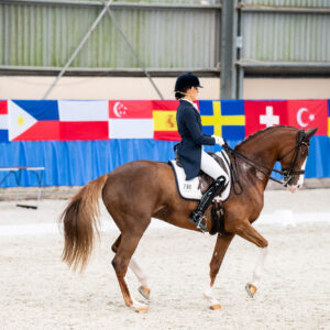 CDI Wroclaw 2023 - autumn