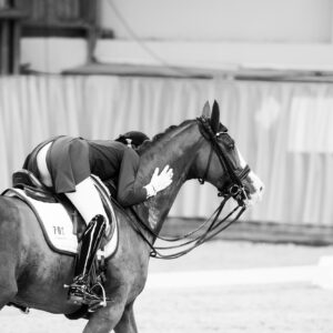 CDI Wroclaw 2023 - autumn