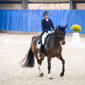 CDI Wroclaw 2023 - autumn