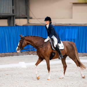 CDI Wroclaw 2023 - autumn
