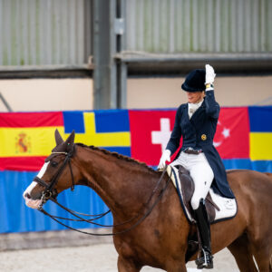 CDI Wroclaw 2023 - autumn