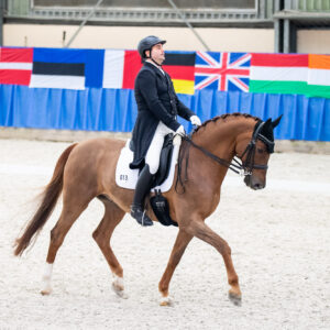 CDI Wroclaw 2023 - autumn