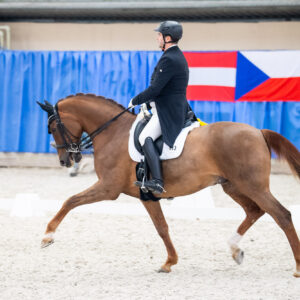 CDI Wroclaw 2023 - autumn