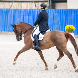 CDI Wroclaw 2023 - autumn
