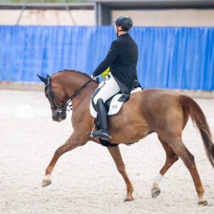 CDI Wroclaw 2023 - autumn
