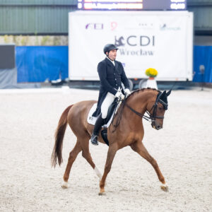 CDI Wroclaw 2023 - autumn