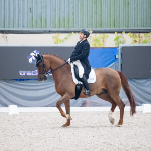 CDI Wroclaw 2023 - autumn