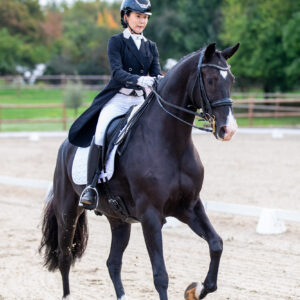 CDI Troisdorf 2023 - autumn