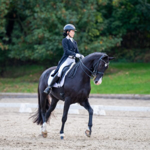 CDI Troisdorf 2023 - autumn