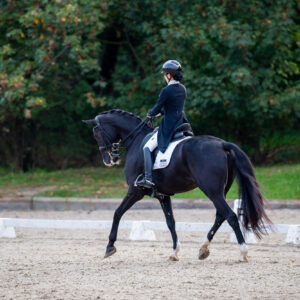 CDI Troisdorf 2023 - autumn