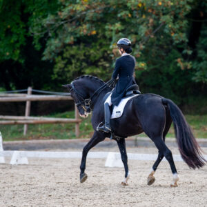 CDI Troisdorf 2023 - autumn