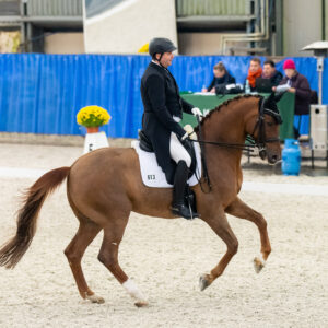 CDI Wroclaw 2023 - autumn