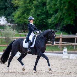CDI Troisdorf 2023 - autumn