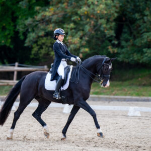 CDI Troisdorf 2023 - autumn