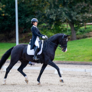 CDI Troisdorf 2023 - autumn