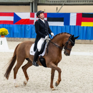 CDI Wroclaw 2023 - autumn