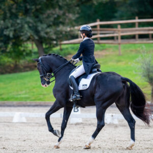 CDI Troisdorf 2023 - autumn