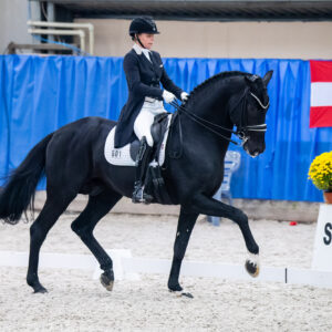 CDI Wroclaw 2023 - autumn