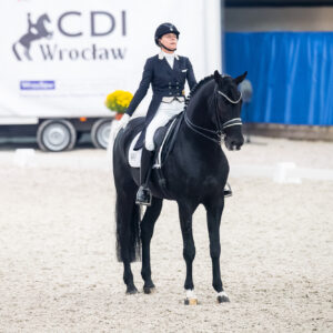CDI Wroclaw 2023 - autumn