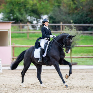 CDI Troisdorf 2023 - autumn