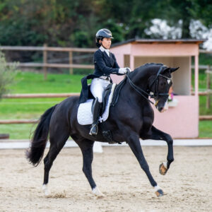 CDI Troisdorf 2023 - autumn