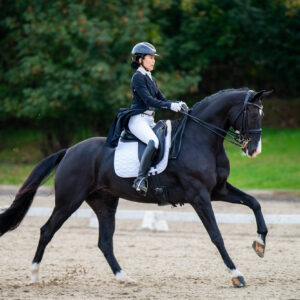 CDI Troisdorf 2023 - autumn