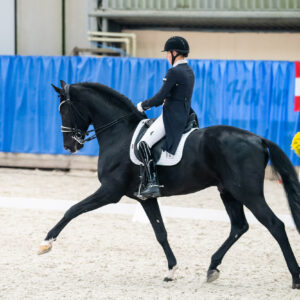 CDI Wroclaw 2023 - autumn
