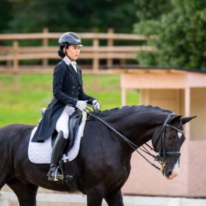 CDI Troisdorf 2023 - autumn