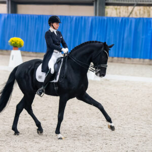 CDI Wroclaw 2023 - autumn