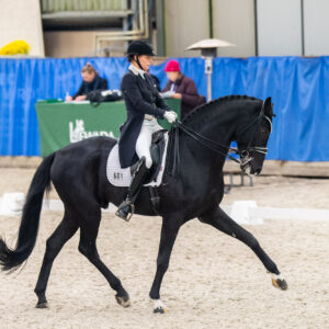 CDI Wroclaw 2023 - autumn