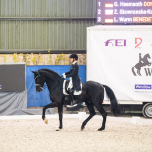 CDI Wroclaw 2023 - autumn
