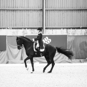 CDI Wroclaw 2023 - autumn