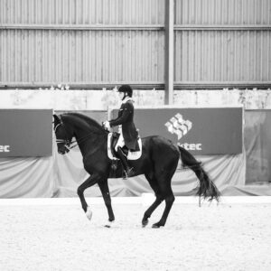CDI Wroclaw 2023 - autumn