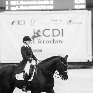 CDI Wroclaw 2023 - autumn