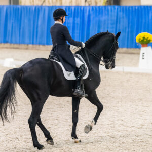 CDI Wroclaw 2023 - autumn