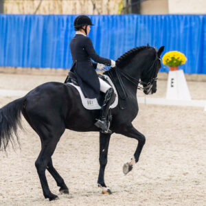 CDI Wroclaw 2023 - autumn
