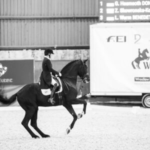 CDI Wroclaw 2023 - autumn