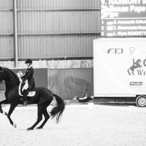 CDI Wroclaw 2023 - autumn