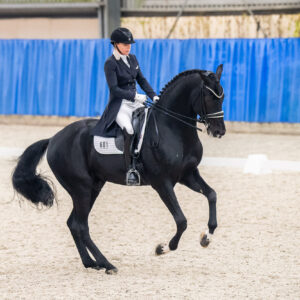 CDI Wroclaw 2023 - autumn