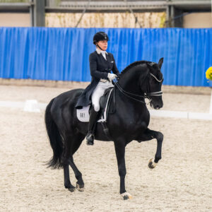 CDI Wroclaw 2023 - autumn