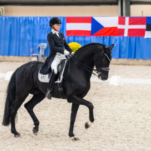 CDI Wroclaw 2023 - autumn