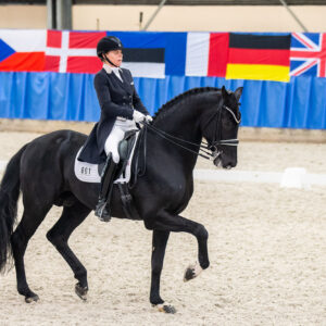 CDI Wroclaw 2023 - autumn