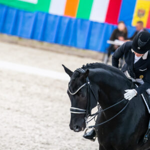 CDI Wroclaw 2023 - autumn