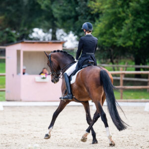 CDI Troisdorf 2023 - autumn