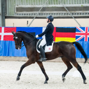 CDI Wroclaw 2023 - autumn