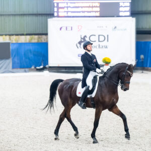 CDI Wroclaw 2023 - autumn
