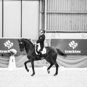 CDI Wroclaw 2023 - autumn